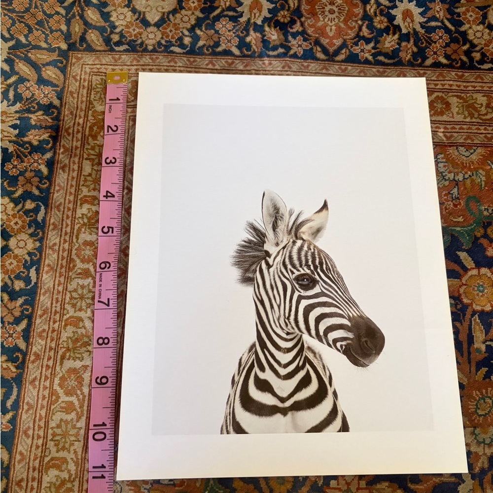 Two original prints by Sharon Montrose for The Animal Print Studio. 8.5 x 11 - Picture 5 of 12